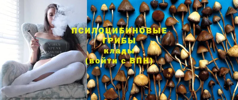 Псилоцибиновые грибы Magic Shrooms  Ижевск 